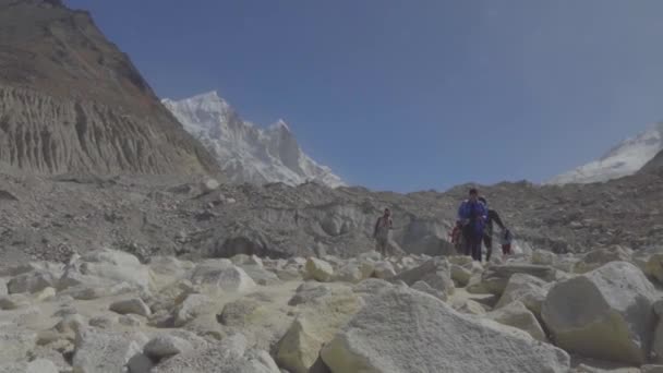 Yürüyüşçüleri Gösteren Gangotri Gaumukh Yürüyüşü Trek Sizi Gangotri Buzulunun Burnundaki — Stok video