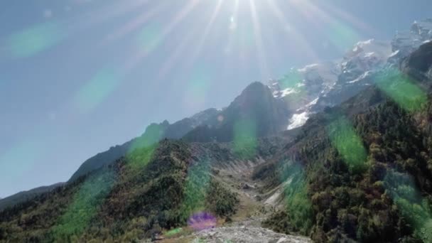 Gaumukh Tapovan Uma Das Trilhas Trekking Mais Antigas Índia Enquanto — Vídeo de Stock