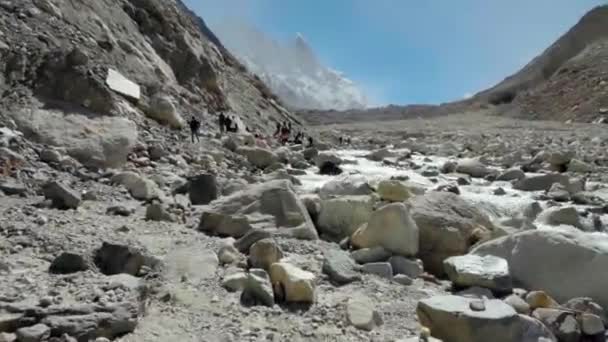 Yürüyüşçüleri Gösteren Gangotri Gaumukh Yürüyüşü Trek Sizi Gangotri Buzulunun Burnundaki — Stok video