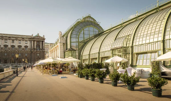 Wien Österreich August 2014 Palmenhaus Namens Schmetterlingshaus Zentrum Von Wien — Stockfoto