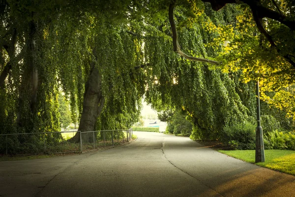 Central Park New York City Verenigde Staten — Stockfoto