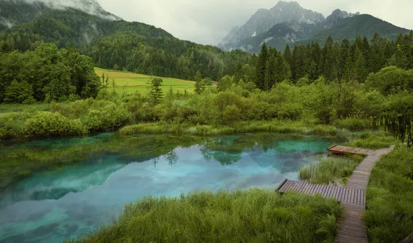 Zelenci vijver in Triglav Nationaal Park, Slovenië — Stockfoto