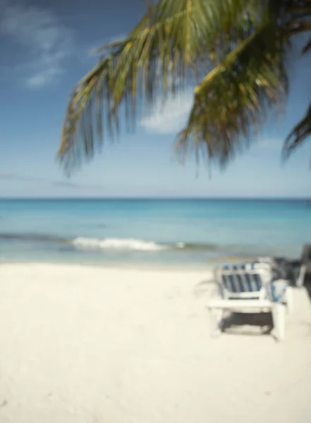 Blur background of beach, sunbed and palm tree — Stock Photo, Image