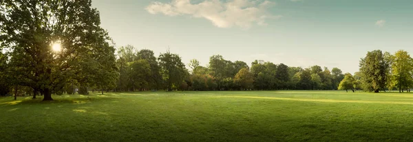 Panorama van Autumn City Park bij zonsopgang — Stockfoto