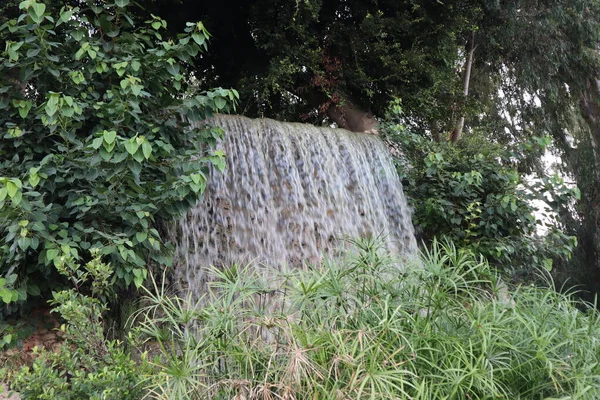 Ein Wasserfall Ramat Gan Nationalpark Fließt Zwischen Den Grünen Pflanzen — Stockfoto