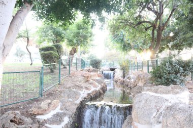 Petah Tikva İsrail 'deki Yad LaBanim Parkı' nda Japon balığı, şelale ve yeşil bitkilerle dolu bir ekolojik göl bulunuyor.