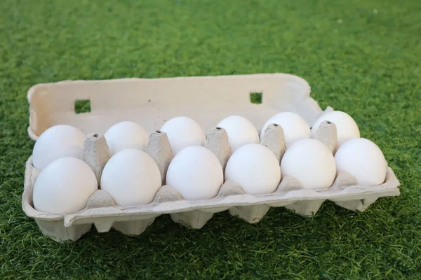 Zwölf Eier Einem Karton Auf Einem Stück Kunstrasen — Stockfoto