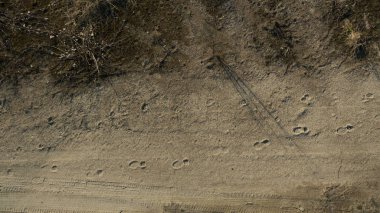 Bir yükseklikten alan fotoğrafı.