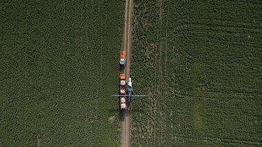 Gün batımında doğa. Yeşil ormanın görünümü