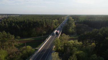 Gün batımında doğa. Yeşil ormanın görünümü