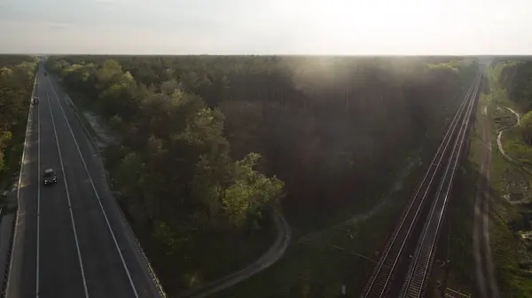 Natur Bei Sonnenuntergang Blick Auf Den Grünen Wald — Stockfoto