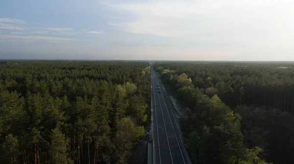 Natur Bei Sonnenuntergang Blick Auf Den Grünen Wald — Stockfoto