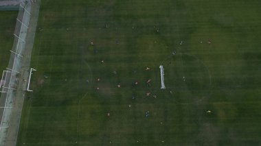 Yeşil orman ve yüksek ağaçlar.