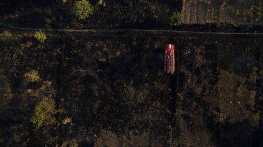 Yeşil orman ve yüksek ağaçlar.