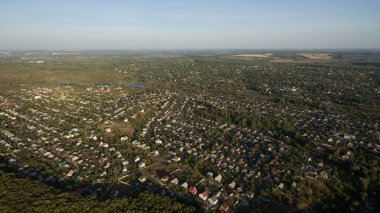 Yeşil orman ve yüksek ağaçlar.