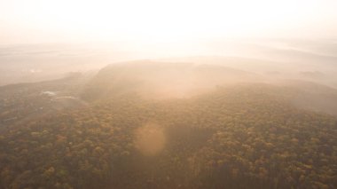Günbatımında sonbahar ormanlarının arasındaki yol..