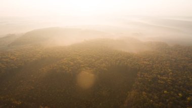 Günbatımında sonbahar ormanlarının arasındaki yol..