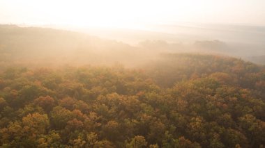 Günbatımında sonbahar ormanlarının arasındaki yol..