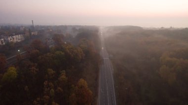 Günbatımında bir sonbahar ormanı hava manzarası..