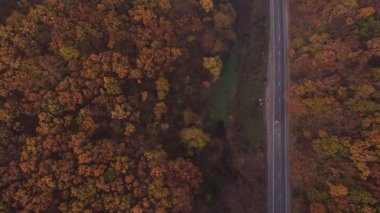 Günbatımında bir sonbahar ormanı hava manzarası..