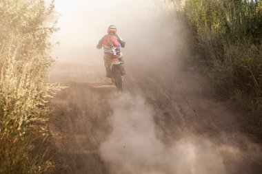 Yazın ormanda motosiklet yarışı..