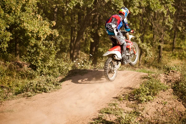 Corse Motociclistiche Fondo Estate Nella Foresta — Foto Stock