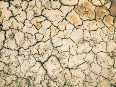 Susuz kalmış ve kuraklık yüzünden dünya yüzeyini çatlatmış.