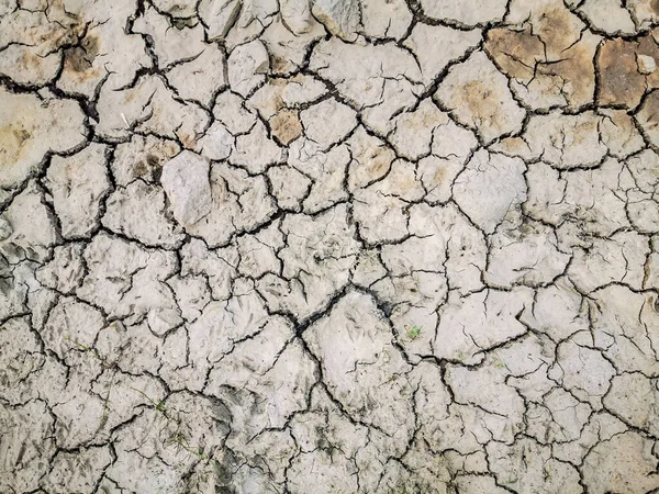 Susuz kalmış ve kuraklık yüzünden dünya yüzeyini çatlatmış.