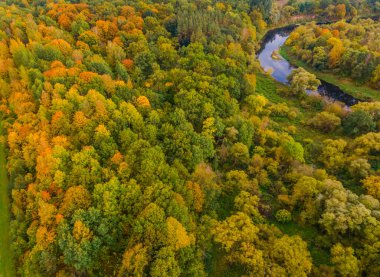 Sonbahar renkleriyle dolu, nehrin geçtiği ormanın havadan görünüşü