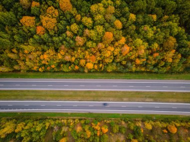 Sonbahar renkleriyle dolu bir ormanın havadan görünüşü.