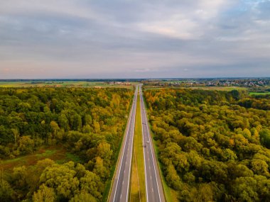 Ormandaki sonbahar renklerinin havadan görünüşü.