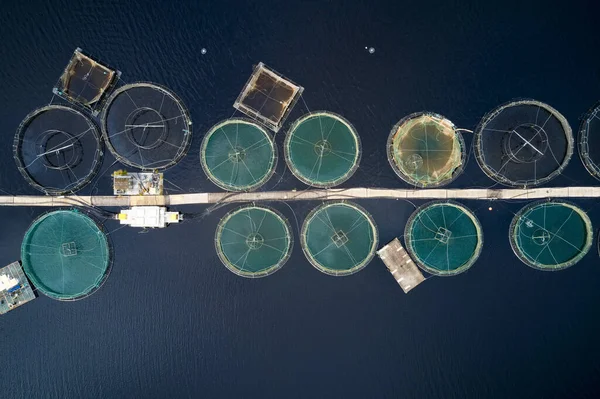 Salmão de aquicultura redes redondas em ambiente natural Loch Awe Arygll e Bute Scotland — Fotografia de Stock