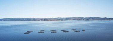 Doğal çevrede balık çiftliği somon ağları Loch Fyne Arygll ve Bute Scotland