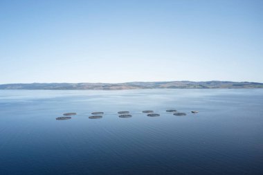 Doğal çevrede balık çiftliği somon ağları Loch Fyne Arygll ve Bute Scotland