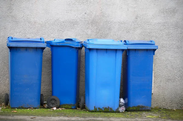 Blue recycle wheelie bins in row for collection outside house