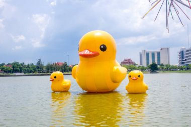 Tayland 'ın Udon şehrinde üç dev sarı lastik ördek.