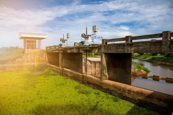 Bann chan Barajı 'nın yüzeyinde yeşil bitkiler, Udon thani Bölgesi, Tayland - 1 Eylül 2020 - Tayland' ın pirinç tarlalarında küçük su barajı Bulutlu bir günde biraz yağmurla