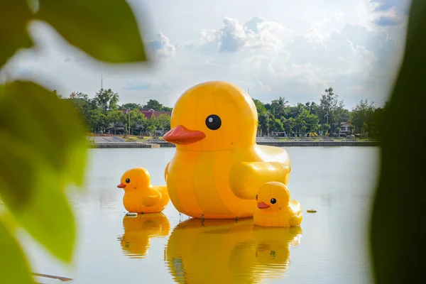 Tayland 'ın Udon ilinde mavi yeşil yapraklı üç dev sarı lastik ördek..