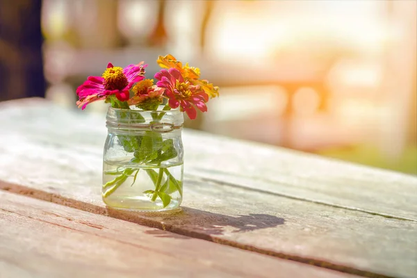Zinnia, güneş ışığının altında, ahşap masadaki cam kaplarda çiçek ihlâli yapıyor..