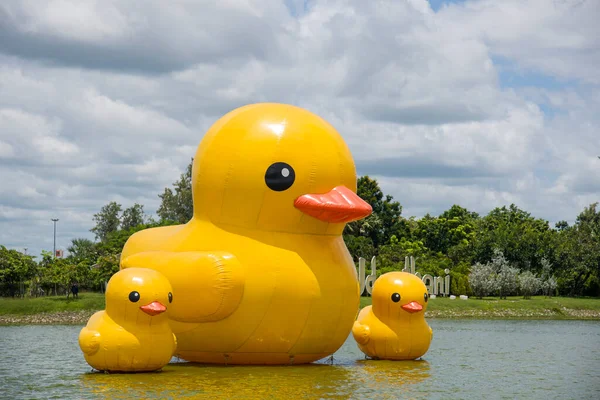 Tayland 'ın Udon şehrinde üç dev sarı lastik ördek.