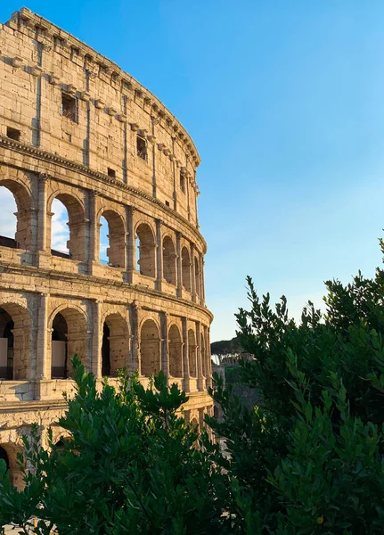 Мбаппе Вид Колизей Закате Зелеными Растениями Синим Небом Рим Италия — стоковое фото
