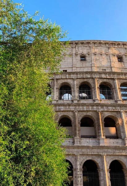 Восходящий Вид Колизей Строительными Лесами Реставрационных Работ Рим Италия — стоковое фото