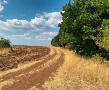 Sonbaharın başlarında boş tarlalar ve orman arasında giden köy yolu.