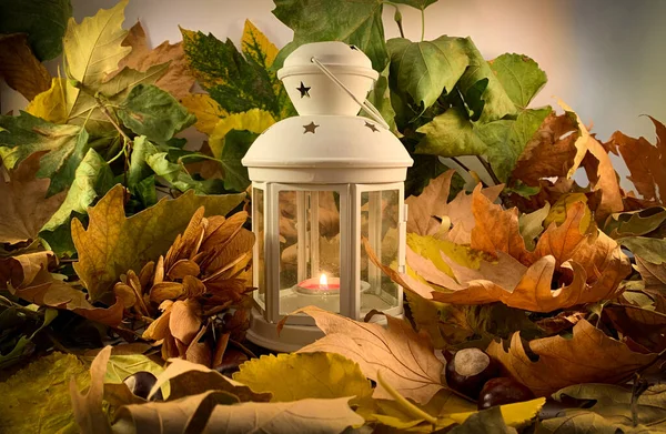 White Lantern Lighted Candle Autumn Leaves Background — Stock Photo, Image