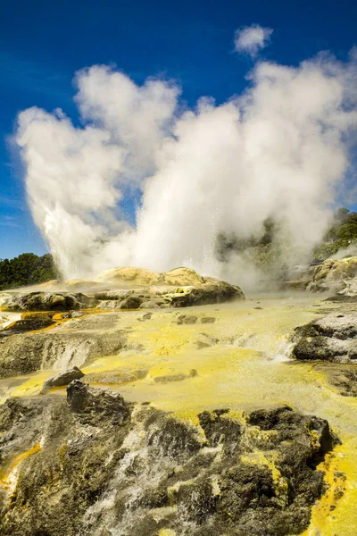 Rotorua Geyser New Zealand North Island — Stock Photo, Image