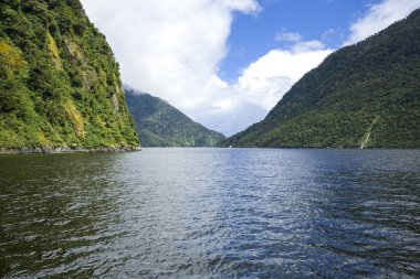 Güney Adası, Yeni Zelanda 'daki Milford Sound Fiordland Ulusal Parkı' nda yaz mevsimi
