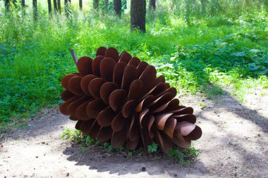 Dev çam kozalakları, ağaçlar ve otlar..