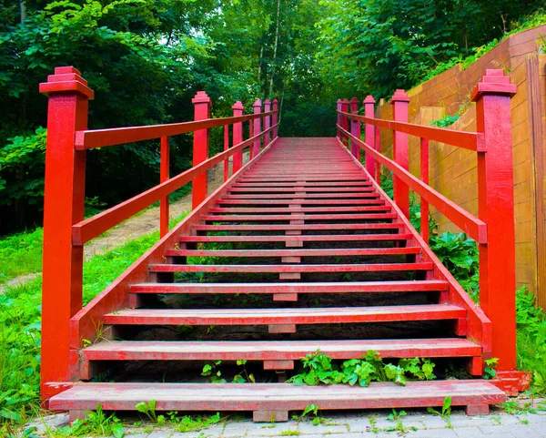 Vörös Fából Készült Lépcső Alsó Nézet — Stock Fotó