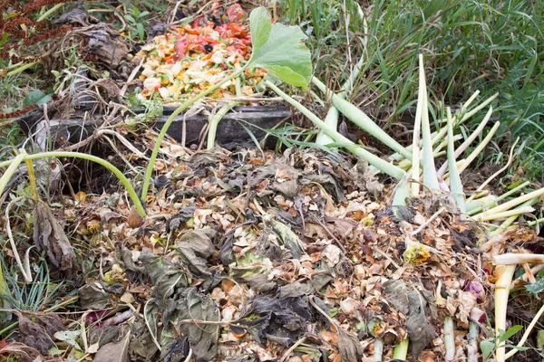 Compost. Organic waste: cut plant tops, fallen leaves, weeds.