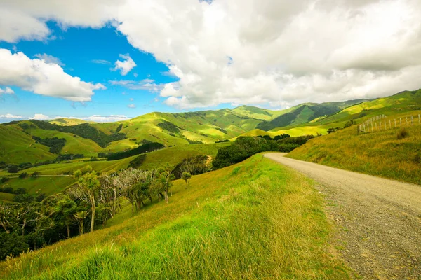 Vista Para Colinas Nova Zelândia — Fotografia de Stock